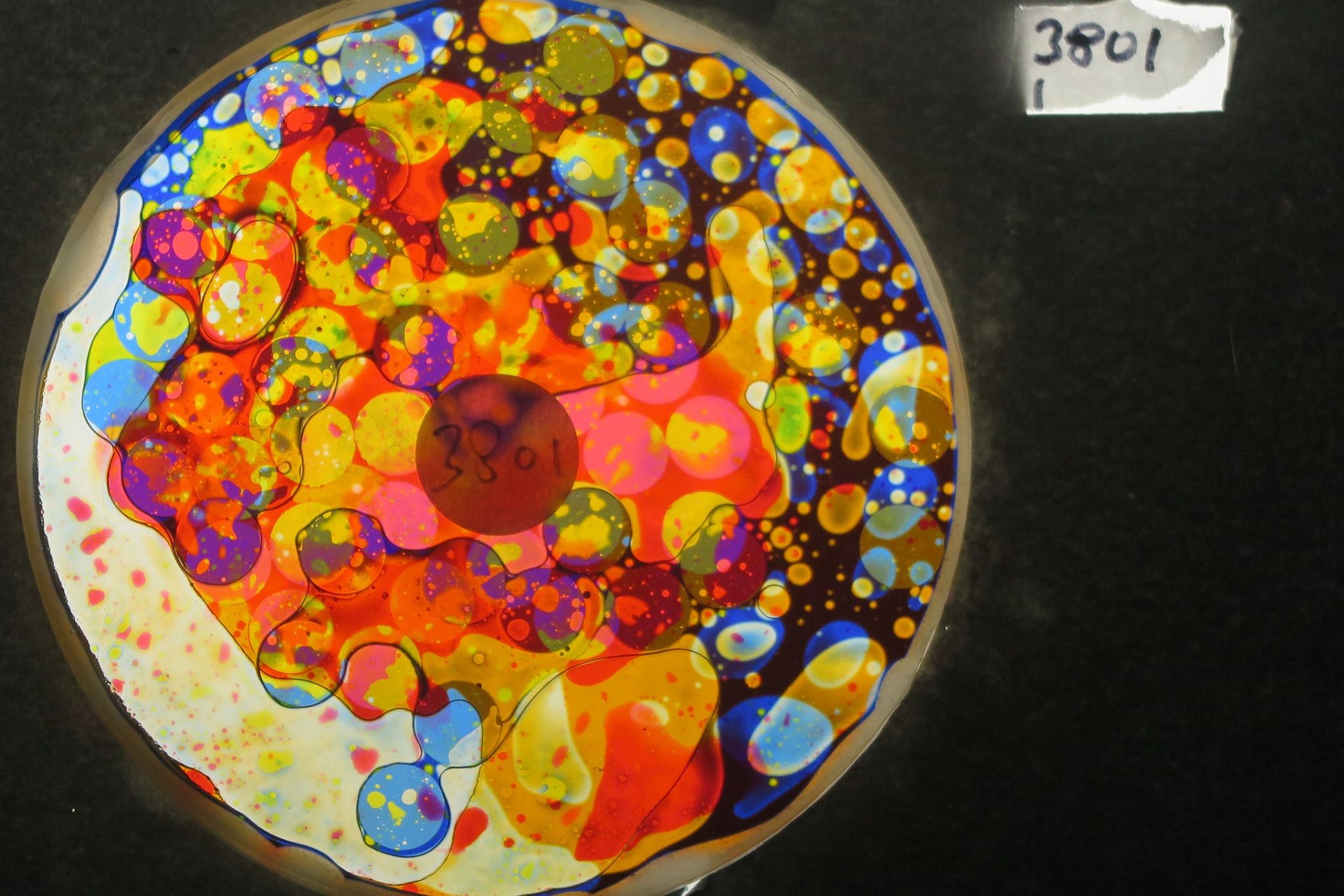 BV3801 bubble vision oil wheel